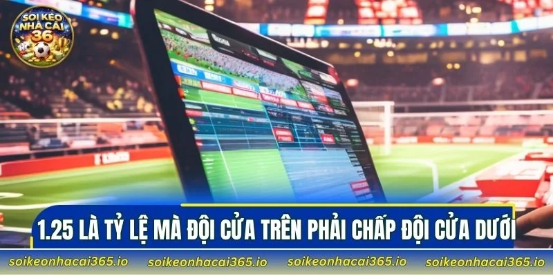 1.25 là tỷ lệ mà đội cửa trên phải chấp đội cửa dưới