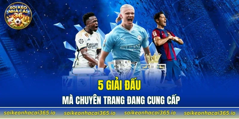 5 giải đấu mà chuyên trang đang cung cấp