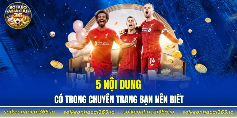 5 nội dung có trong chuyên trang bạn nên biết
