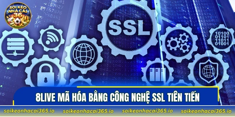 8LIVE mã hóa bằng công nghệ SSL tiên tiếnNgười dùng cần nạp tiền vào tài khoản