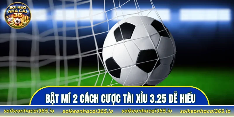 Bật mí 2 cách cược kèo tài xỉu 3.25 dễ hiểu