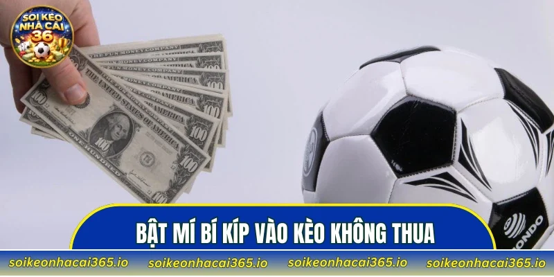 Bật mí bí kíp vào kèo không thua từ dân chơi lão luyện