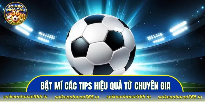 Bật mí các tips hiệu quả từ chuyên gia