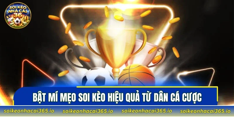 Bật mí mẹo soi kèo hiệu quả từ dân cá cược lâu năm