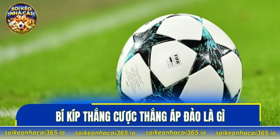 Bí kíp thắng cược thắng áp đảo là gì