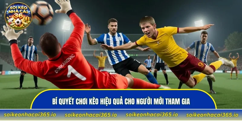 Bí quyết chơi kèo hiệu quả cho người mới tham gia