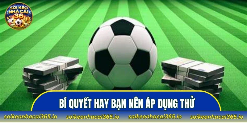 Bí quyết hay bạn nên áp dụng thử