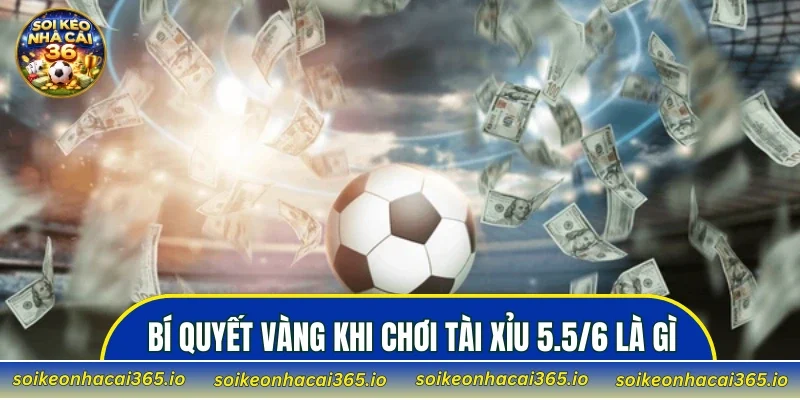 Bí quyết vàng khi chơi Tài Xỉu 5.5/6 là gì