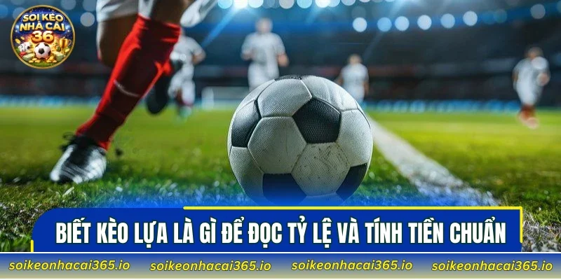 biết kèo Lựa là gì giúp thành viên tự tin xuống tiền