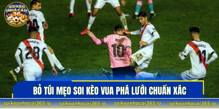 Bỏ túi mẹo soi kèo vua phá lưới chuẩn xác