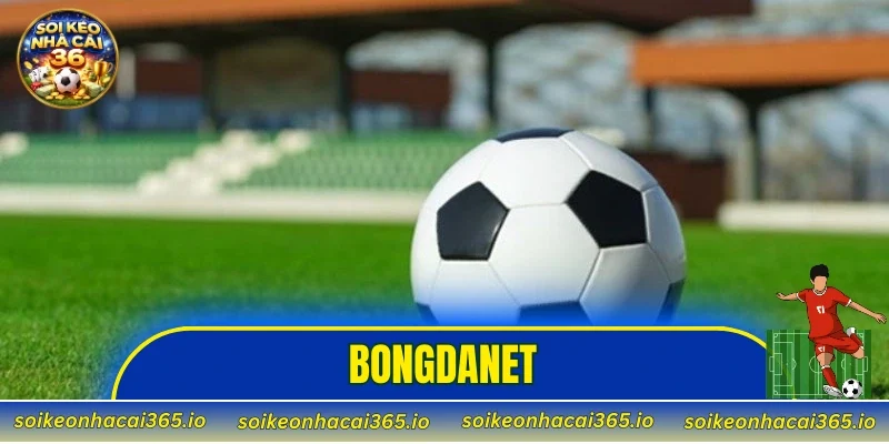 Bongdanet