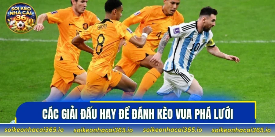 Các giải đấu hay để đánh kèo vua phá lưới