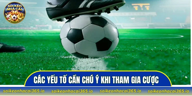 Các yếu tố cần chú ý khi tham gia cược Over/Under Cards