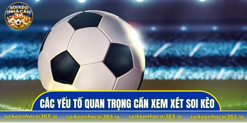 Các yếu tố quan trọng cần xem xét trước khi vào vốn