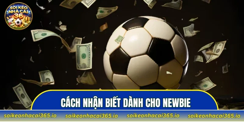 Cách nhận biết dành cho newbie