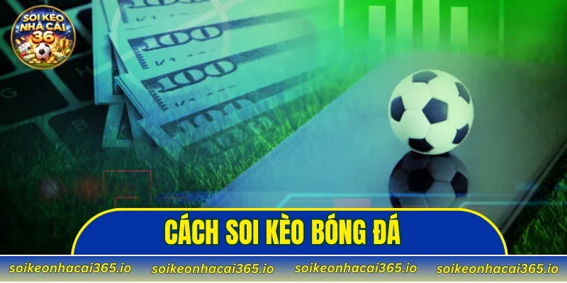 Soi Kèo Nhà Cái
