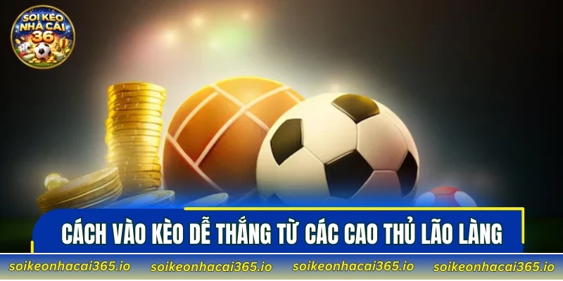 Cách vào kèo dễ thắng từ các cao thủ lão làng