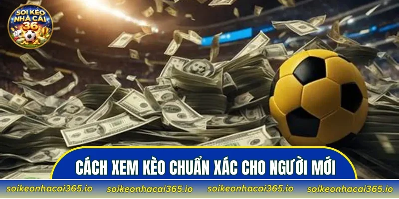Cách xem kèo chuẩn xác cho người mới bắt đầu