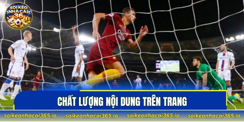 Chất lượng nội dung trên trang
