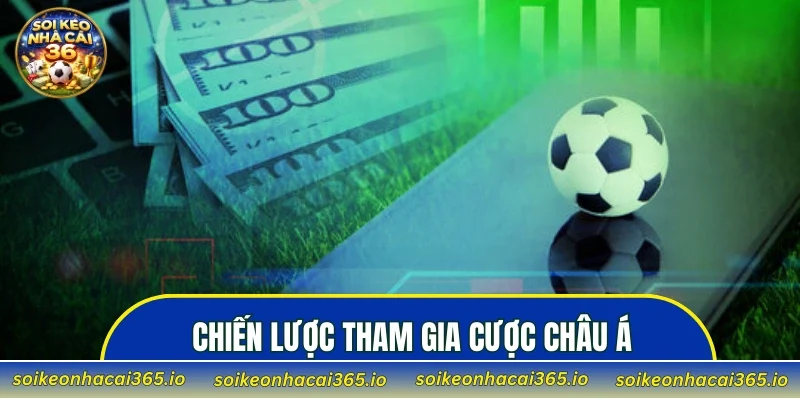 Chiến lược tham gia cược châu Á từ cao thủ