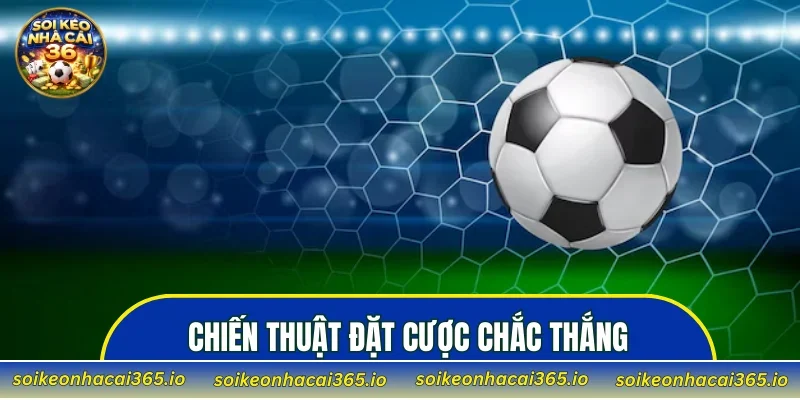 Chiến thuật đặt cược chắc thắng dành cho newbie