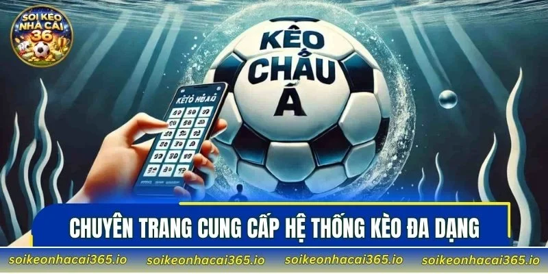 Chuyên trang cung cấp hệ thống kèo đa dạng