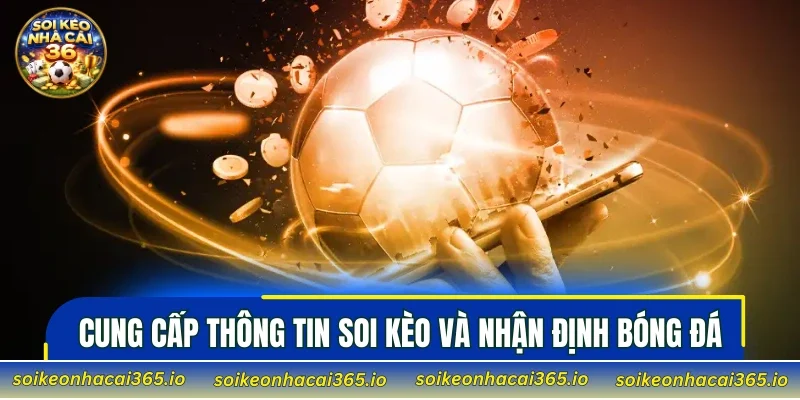 Cung cấp thông tin soi kèo và nhận định bóng đá trước giờ thi đấu