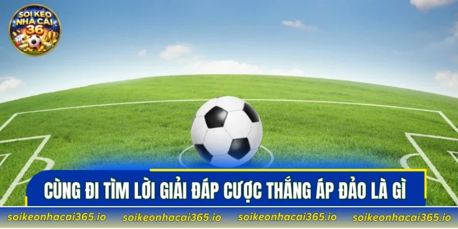 Cùng đi tìm lời giải đáp cược thắng áp đảo là gì