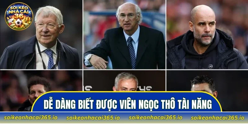Dễ dàng nhận biết được viên ngọc thô tài năng