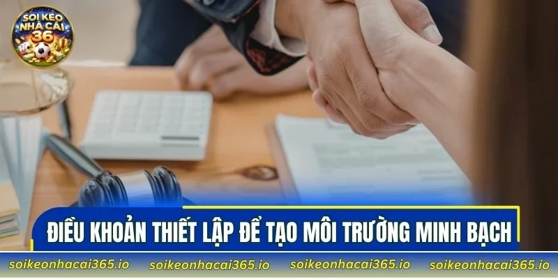 Điều khoản được thiết lập để tạo môi trường minh bạch