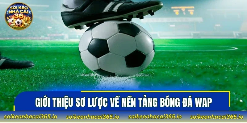 Giới thiệu sơ lược về nền tảng bóng đá Wap