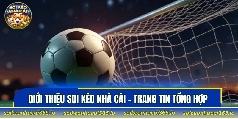 Giới thiệu Soi Kèo Nhà Cái - Trang tin tổng hợp về bóng đá