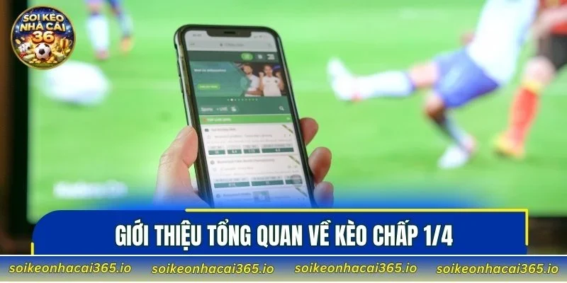 Giới thiệu tổng quan về kèo chấp 1/4