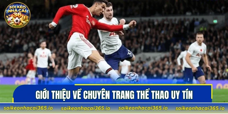 Giới thiệu về chuyên trang thể thao uy tín
