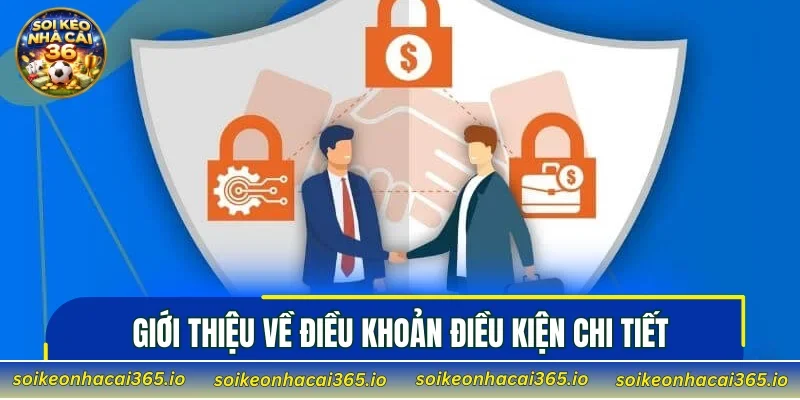 Giới thiệu về điều khoản điều kiện chi tiết