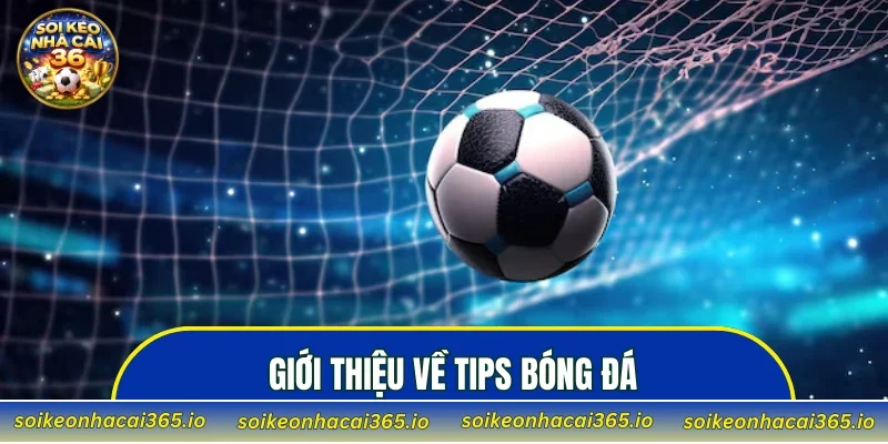 Giới thiệu về tips bóng đá cho người mới