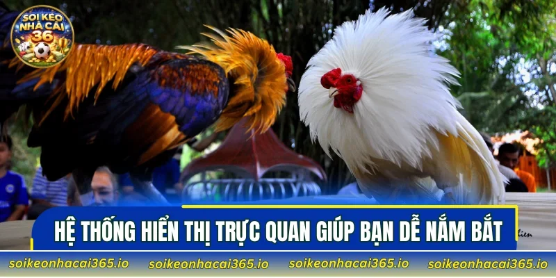 Hệ thống hiển thị trực quan giúp bạn dễ nắm bắt