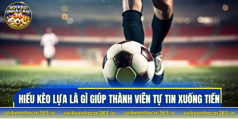 Hiểu Kèo Lựa là gì giúp thành viên tự tin xuống tiền