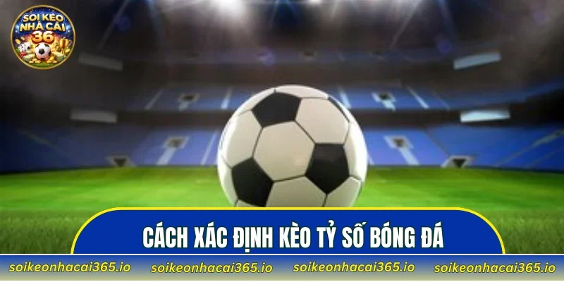 Hướng dẫn cách xác định kèo tỷ số bóng đá ăn bao nhiêu