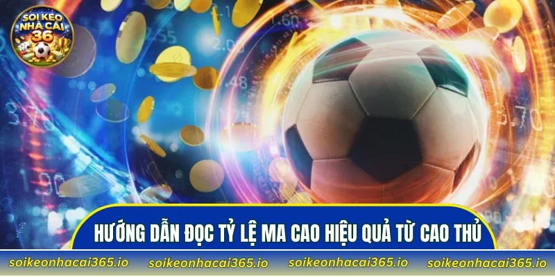 Hướng dẫn đọc tỷ lệ Ma Cao hiệu quả từ cao thủ