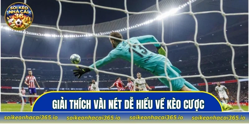 keo-chan-le-chien-luoc-choi-cuoc-sieu-chuan-2026-3