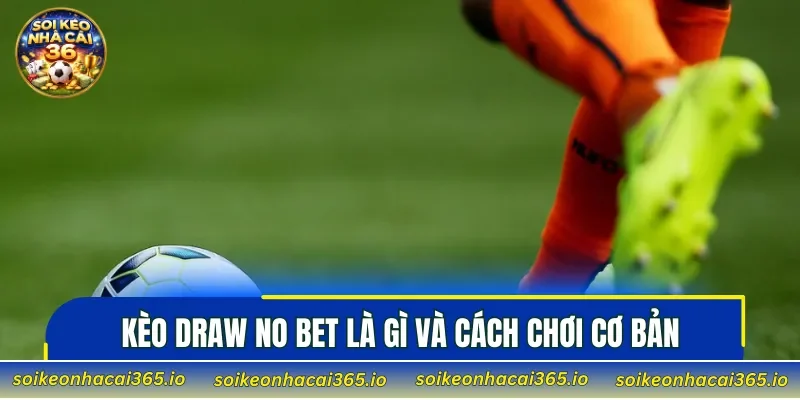 Kèo Draw No Bet là gì và cách chơi cơ bản