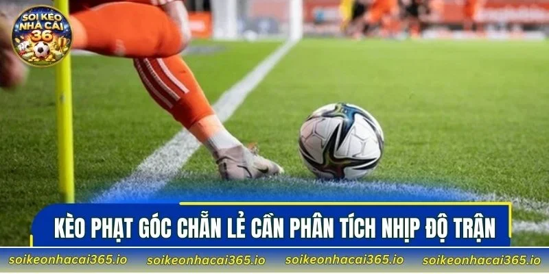 Kèo phạt góc chẵn lẻ cần phân tích nhịp độ trận