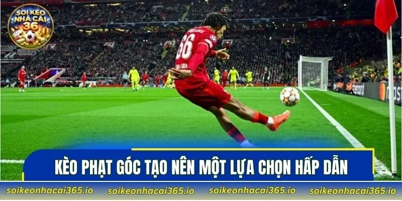 Kèo phạt góc tạo nên một lựa chọn hấp dẫn