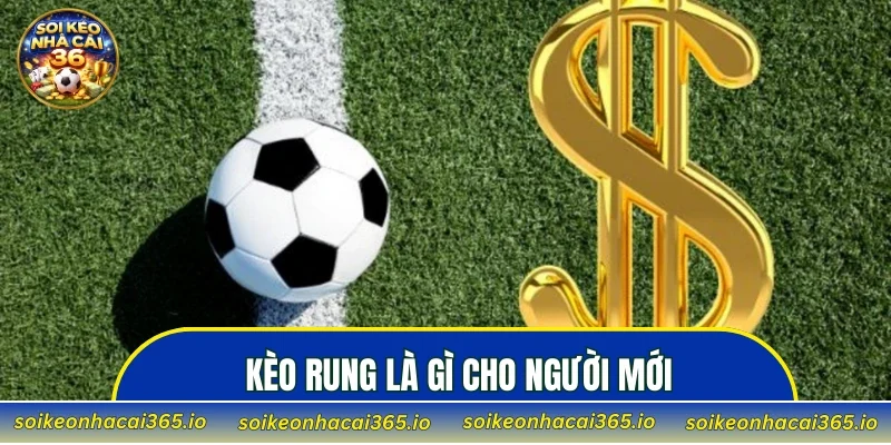 Kèo rung là gì cho người mới