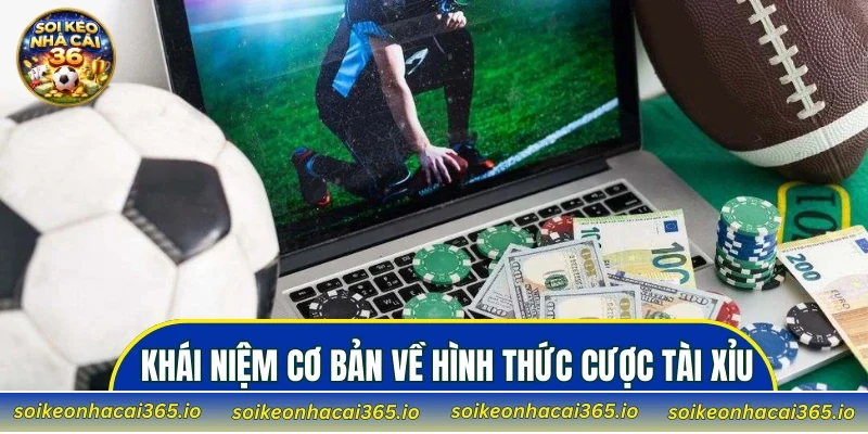 Khái niệm cơ bản về hình thức cược tài xỉu