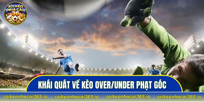 Khái quát về kèo over/under phạt góc