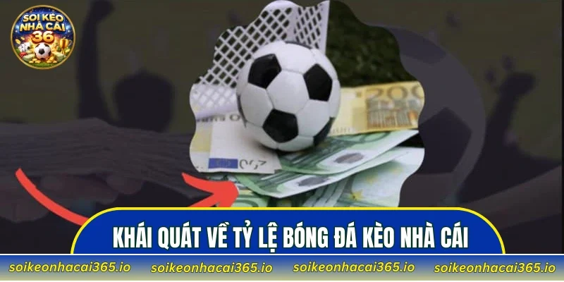 Khái quát về tỷ lệ bóng đá kèo nhà cái