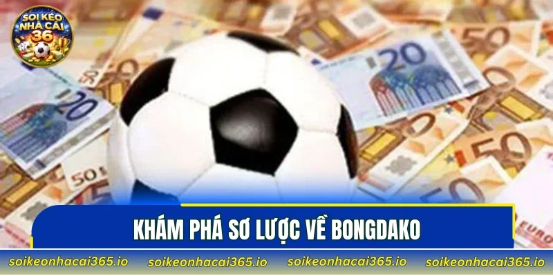 Khám phá sơ lược về bongdako