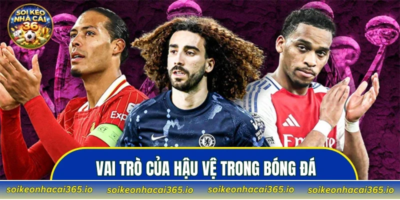 khám phá vai trò của hậu vệ trên sân cỏ